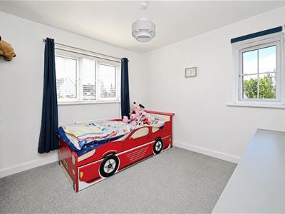 Picture 16